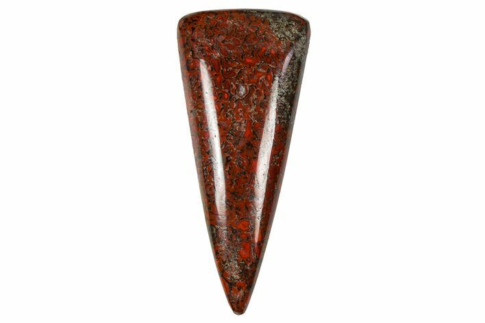 Polished Dinosaur Bone (Gembone) Cabochon - Colorado #370714